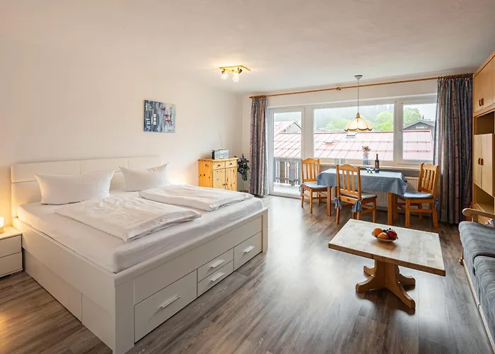 193 Triska Oberstdorf